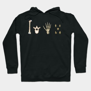 Anatomy Art Bones Hoodie